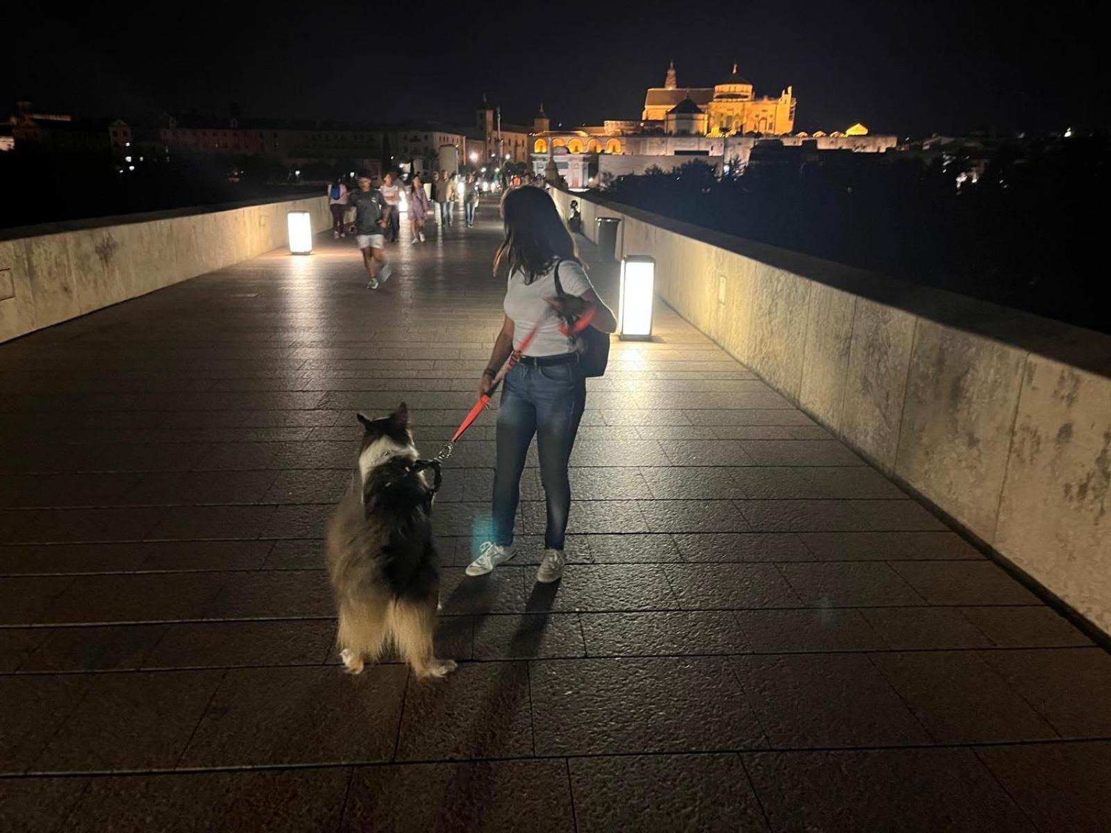 Irache Dreams Leilighet Córdoba Eksteriør bilde